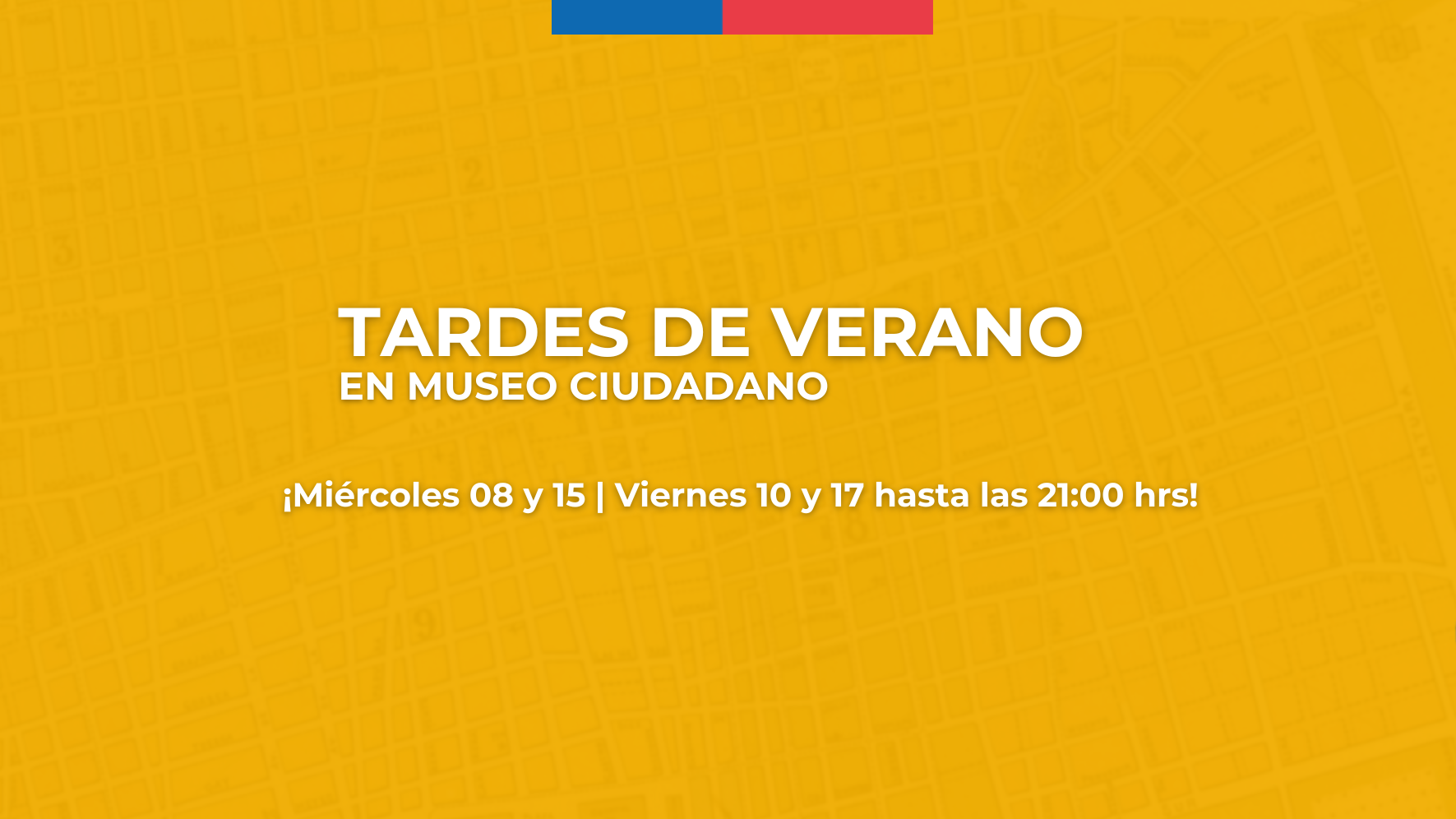 Tardes de Verano en Museo Ciudadano